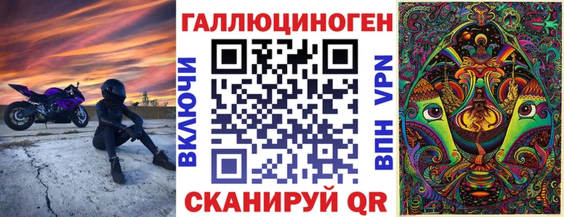 как найти закладки  Шагонар  Галлюциногенные грибы Psilocybe 